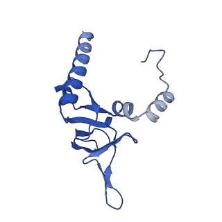 35413_8ifd_2S_v1-0
Dibekacin-added human 80S ribosome