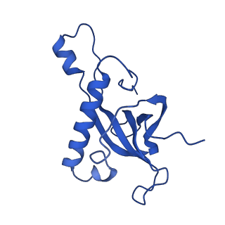 35413_8ifd_2T_v1-0
Dibekacin-added human 80S ribosome