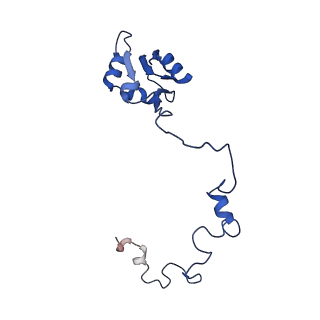 35413_8ifd_2U_v1-0
Dibekacin-added human 80S ribosome