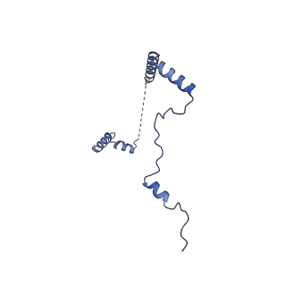 35413_8ifd_2V_v1-0
Dibekacin-added human 80S ribosome