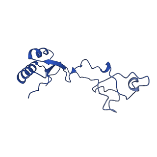 35413_8ifd_2Y_v1-0
Dibekacin-added human 80S ribosome