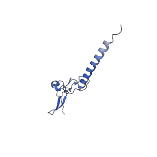 35413_8ifd_2a_v1-0
Dibekacin-added human 80S ribosome