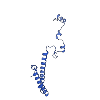 35413_8ifd_2b_v1-0
Dibekacin-added human 80S ribosome