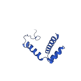 35413_8ifd_2c_v1-0
Dibekacin-added human 80S ribosome