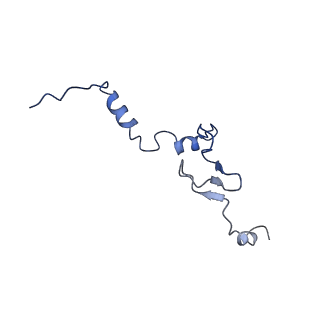 35413_8ifd_2d_v1-0
Dibekacin-added human 80S ribosome