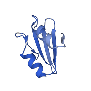 35413_8ifd_2e_v1-0
Dibekacin-added human 80S ribosome