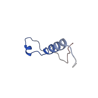 35413_8ifd_2f_v1-0
Dibekacin-added human 80S ribosome