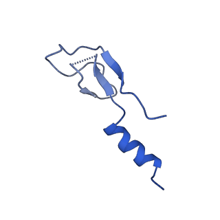 35413_8ifd_2g_v1-0
Dibekacin-added human 80S ribosome