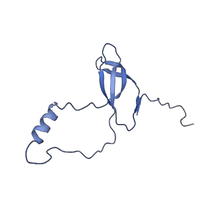 35413_8ifd_2i_v1-0
Dibekacin-added human 80S ribosome