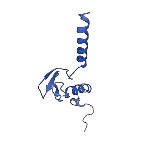 35413_8ifd_2j_v1-0
Dibekacin-added human 80S ribosome