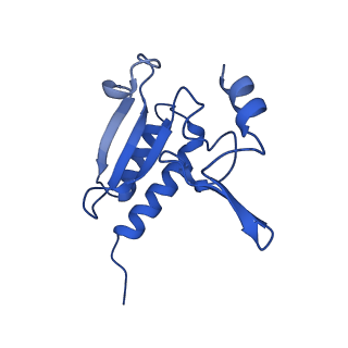 35413_8ifd_2k_v1-0
Dibekacin-added human 80S ribosome