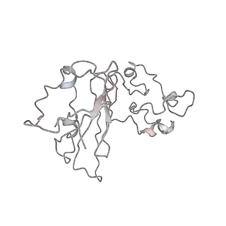35413_8ifd_2l_v1-0
Dibekacin-added human 80S ribosome