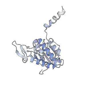 35413_8ifd_2n_v1-0
Dibekacin-added human 80S ribosome