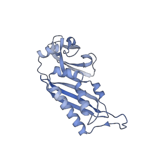 35413_8ifd_2o_v1-0
Dibekacin-added human 80S ribosome