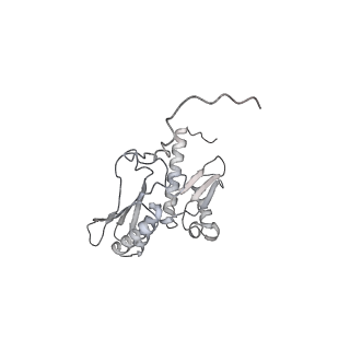 35413_8ifd_2p_v1-0
Dibekacin-added human 80S ribosome