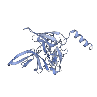 35413_8ifd_2q_v1-0
Dibekacin-added human 80S ribosome