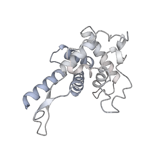 35413_8ifd_2r_v1-0
Dibekacin-added human 80S ribosome