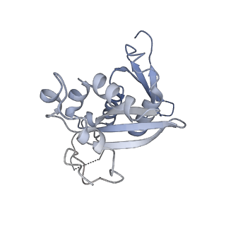 35413_8ifd_2s_v1-0
Dibekacin-added human 80S ribosome