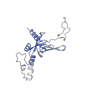 35413_8ifd_2t_v1-0
Dibekacin-added human 80S ribosome