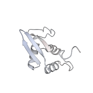 35413_8ifd_2u_v1-0
Dibekacin-added human 80S ribosome