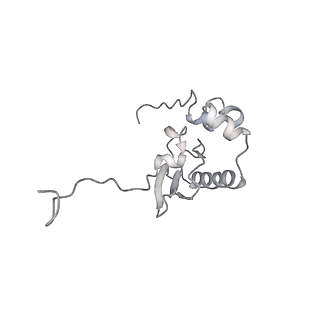35413_8ifd_2w_v1-0
Dibekacin-added human 80S ribosome