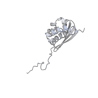35413_8ifd_2x_v1-0
Dibekacin-added human 80S ribosome