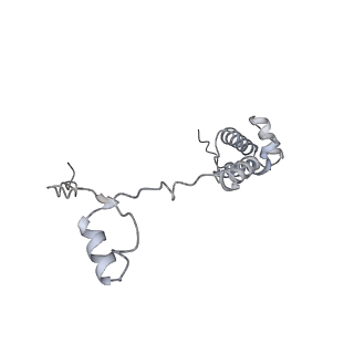 35413_8ifd_2y_v1-0
Dibekacin-added human 80S ribosome