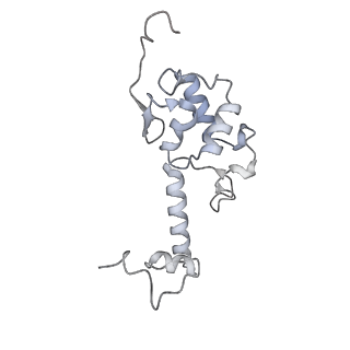 35413_8ifd_2z_v1-0
Dibekacin-added human 80S ribosome