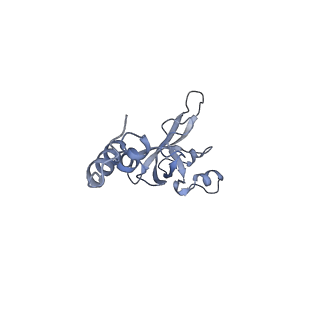 35413_8ifd_3B_v1-0
Dibekacin-added human 80S ribosome