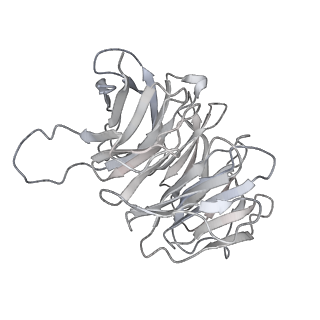 35413_8ifd_3F_v1-0
Dibekacin-added human 80S ribosome