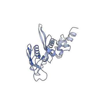 35413_8ifd_3G_v1-0
Dibekacin-added human 80S ribosome