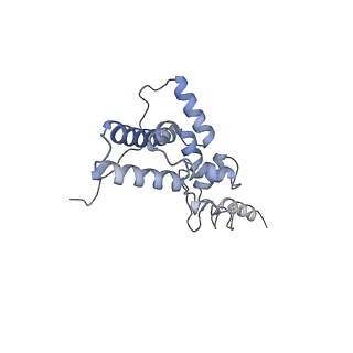 35413_8ifd_3I_v1-0
Dibekacin-added human 80S ribosome