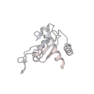 35413_8ifd_3J_v1-0
Dibekacin-added human 80S ribosome