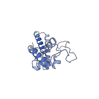 35413_8ifd_3K_v1-0
Dibekacin-added human 80S ribosome