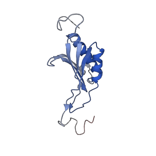 35413_8ifd_3L_v1-0
Dibekacin-added human 80S ribosome