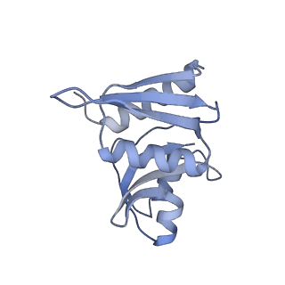 35413_8ifd_3M_v1-0
Dibekacin-added human 80S ribosome