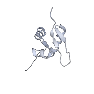 35413_8ifd_3O_v1-0
Dibekacin-added human 80S ribosome