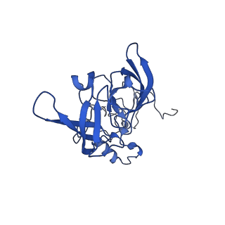 35414_8ife_1D_v1-0
Arbekacin-added human 80S ribosome