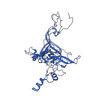 35414_8ife_1E_v1-0
Arbekacin-added human 80S ribosome