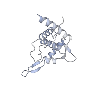 35414_8ife_20_v1-0
Arbekacin-added human 80S ribosome