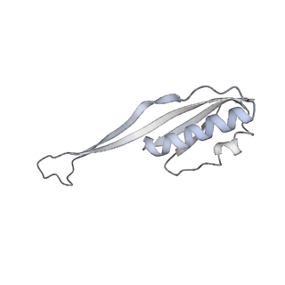 35414_8ife_21_v1-0
Arbekacin-added human 80S ribosome