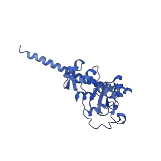 35414_8ife_2A_v1-0
Arbekacin-added human 80S ribosome