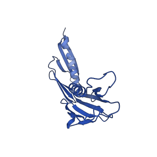 35414_8ife_2C_v1-0
Arbekacin-added human 80S ribosome