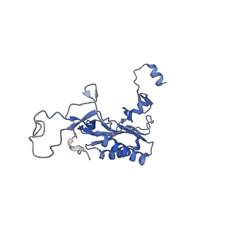 35414_8ife_2D_v1-0
Arbekacin-added human 80S ribosome