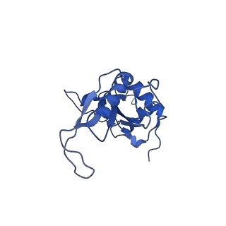 35414_8ife_2E_v1-0
Arbekacin-added human 80S ribosome