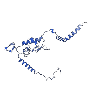 35414_8ife_2F_v1-0
Arbekacin-added human 80S ribosome