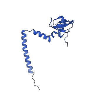 35414_8ife_2G_v1-0
Arbekacin-added human 80S ribosome