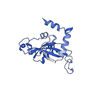 35414_8ife_2H_v1-0
Arbekacin-added human 80S ribosome