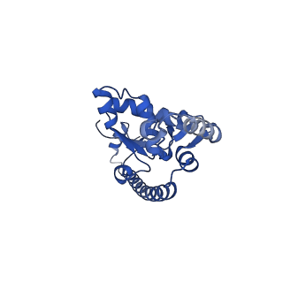 35414_8ife_2I_v1-0
Arbekacin-added human 80S ribosome