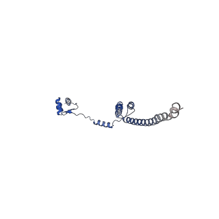 35414_8ife_2L_v1-0
Arbekacin-added human 80S ribosome